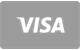 Visa plačilna kartica